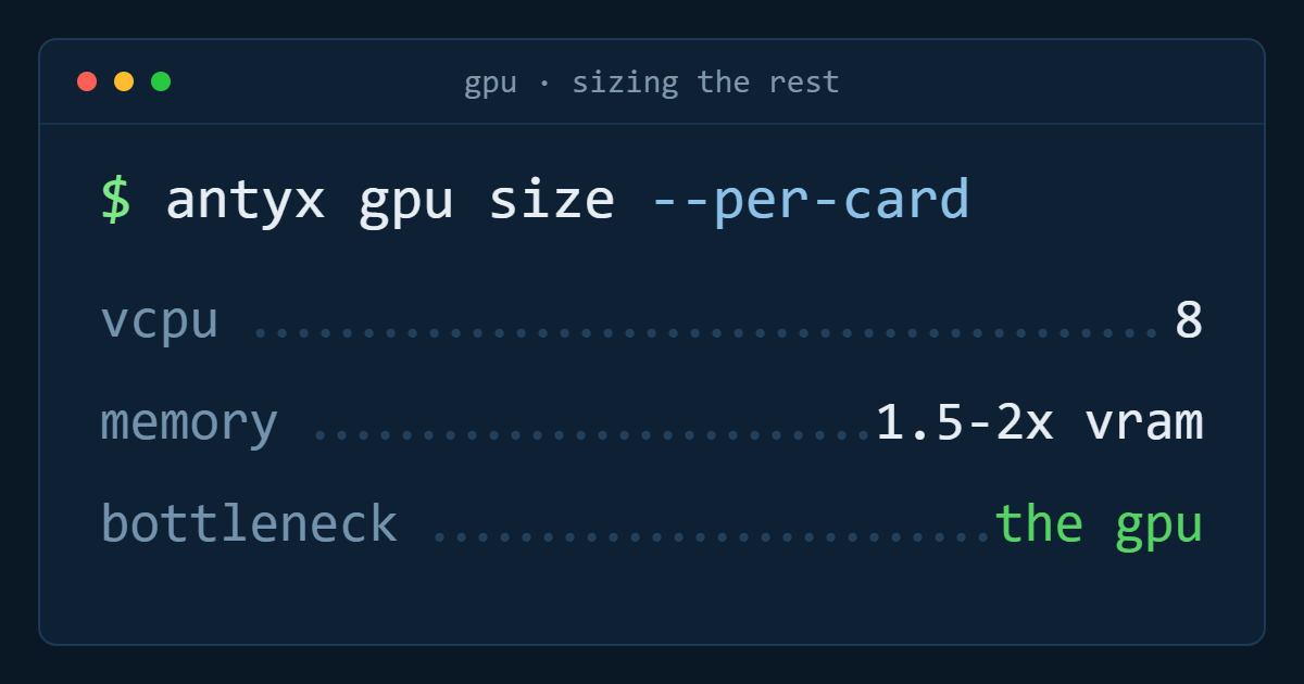 Sizing a GPU instance: what to put around the accelerator