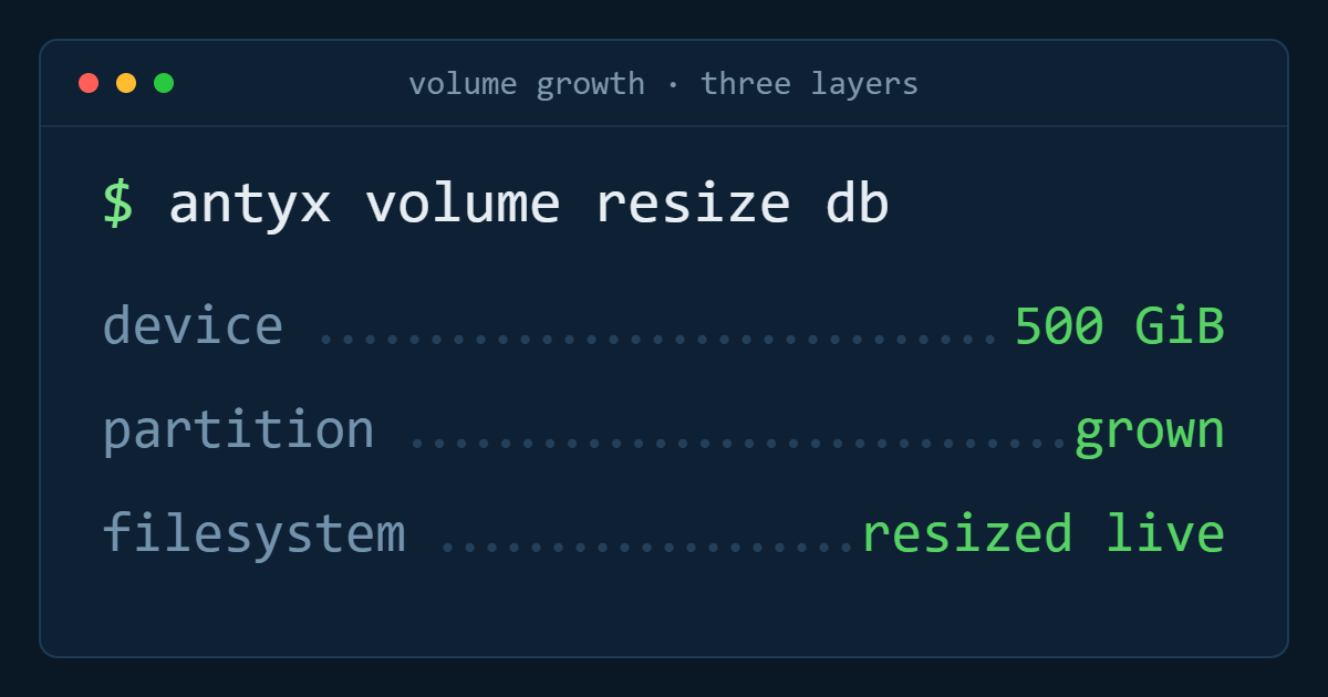 Growing a database volume without downtime