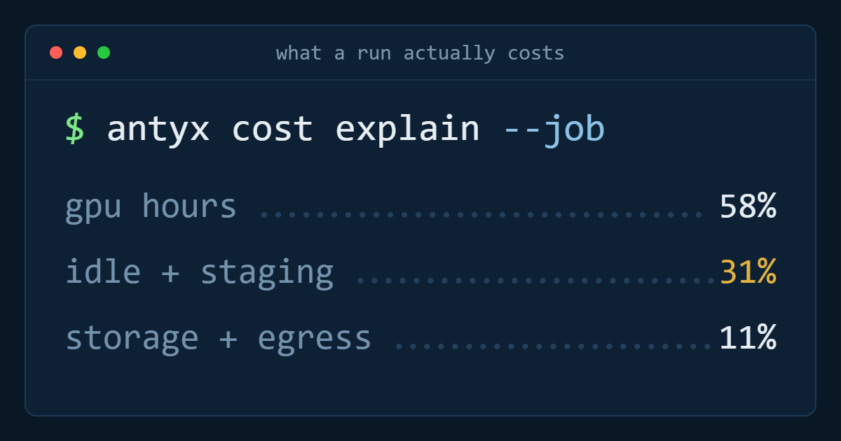 What a training run actually costs